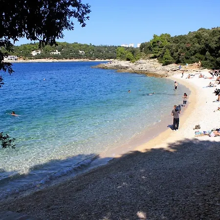 With Wifi - 15986 Daire